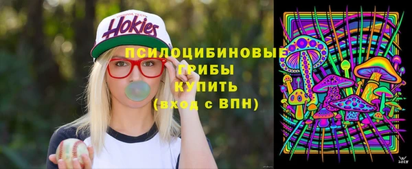 Альфа ПВП Баксан